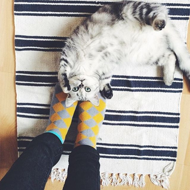 We like socks 👀🤓